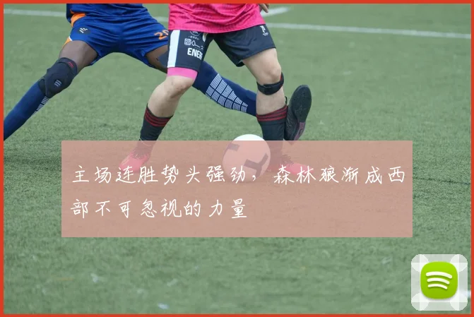 主场连胜势头强劲,森林狼渐成西部不可忽视的力量
