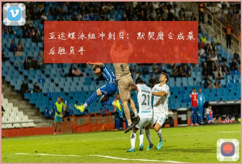 亚运蝶泳组冲刺日:默契磨合成最后胜负手
